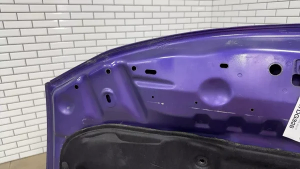 06-10 Dodge Charger SRT-8 OEM Hood (Plum Crazy PHG) See Photos - Image 6